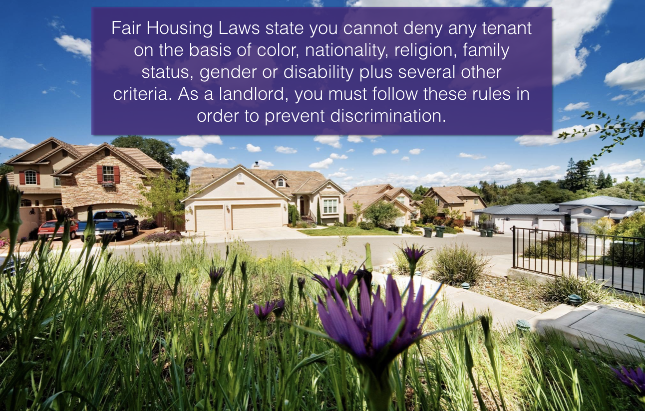 Fair Housing Law State