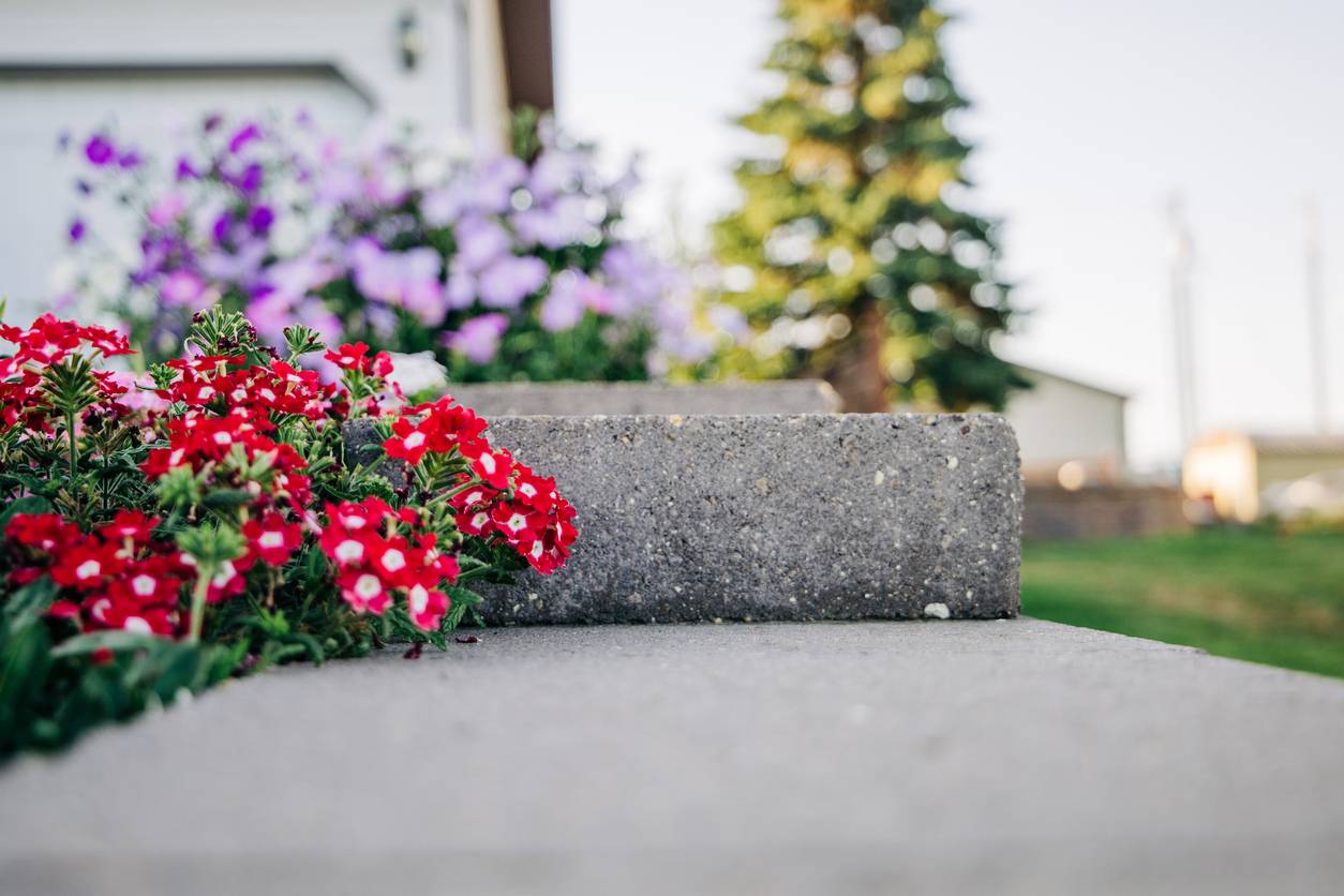 Colorful flower beds with vibrant red and purple blooms beside a concrete step, illustrating unique landscaping choices in an HOA community.